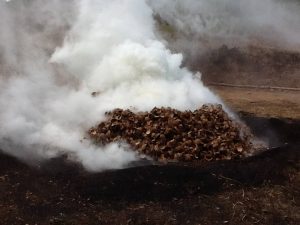 Proceso Tradicional de Carbón con Cáscaras de Coco